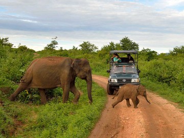 Sri Lanka At A Glance